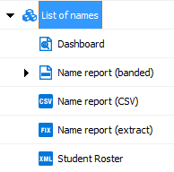 Reports listed under a parent datablock in the explorer tree.